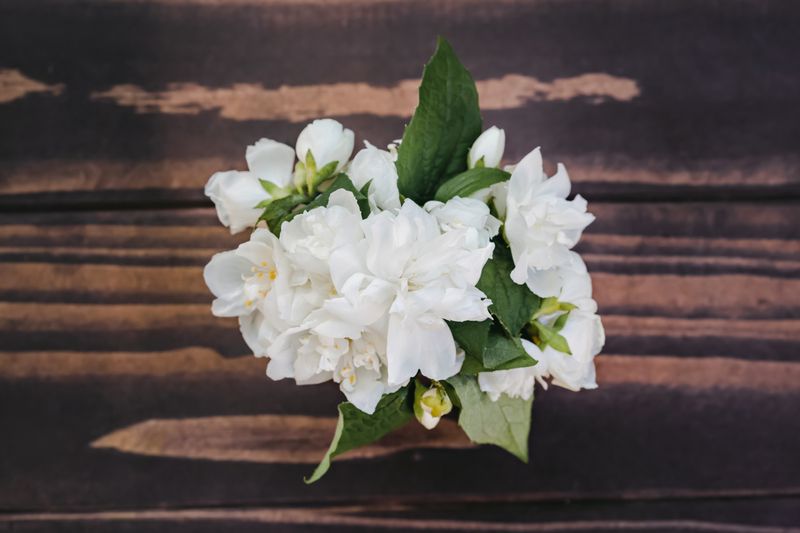 Bouquet de fleurs blanches élégant
